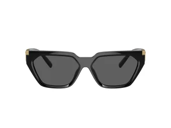 Tiffany Lunettes de Soleil TF 4205U 8001S4