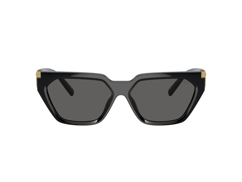 Tiffany Lunettes de Soleil TF 4205U 8001S4