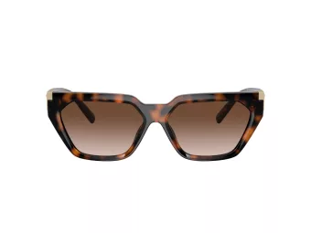 Tiffany Lunettes de Soleil TF 4205U 80153B