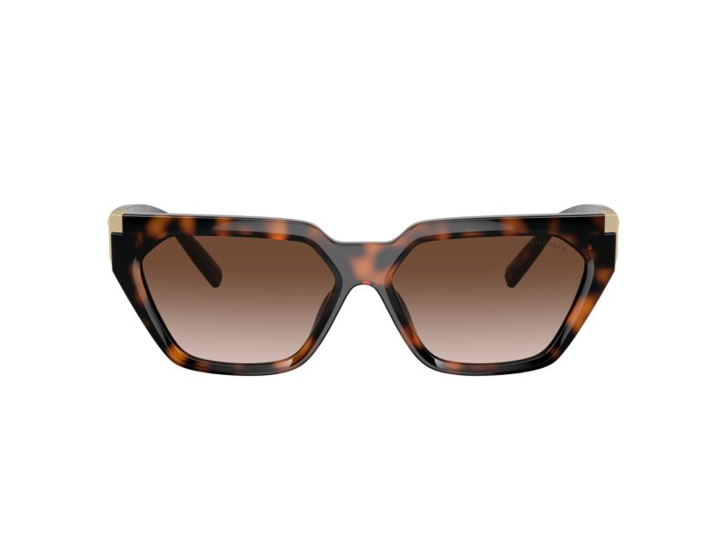 Tiffany Lunettes de Soleil TF 4205U 80153B