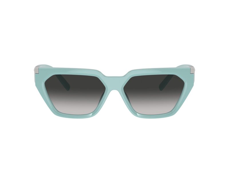 Tiffany Lunettes de Soleil TF 4205U 83883C