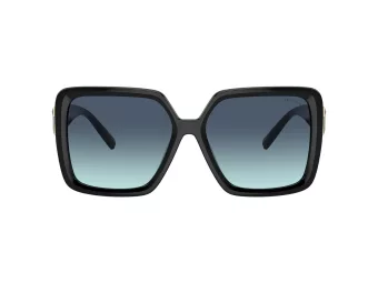 Tiffany Lunettes de Soleil TF 4206U 80019S