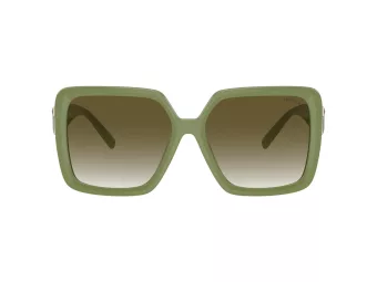 Tiffany Lunettes de Soleil TF 4206U 83687Z