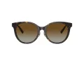Tiffany Lunettes de Soleil TF 4209D 8015T5