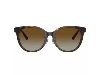 Tiffany Lunettes de Soleil TF 4209D 8015T5