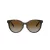Tiffany Lunettes de Soleil TF 4209D 8015T5