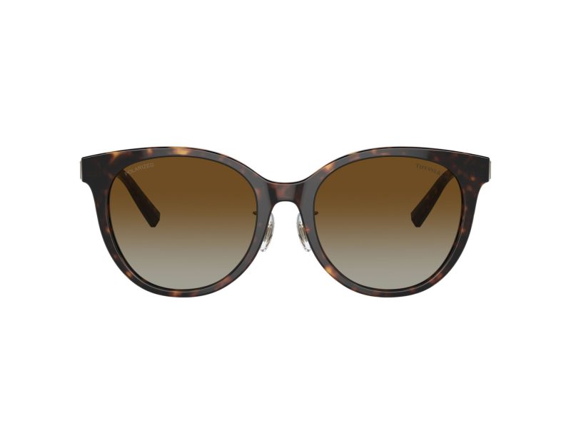 Tiffany Lunettes de Soleil TF 4209D 8015T5
