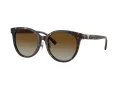 Tiffany Lunettes de Soleil TF 4209D 8015T5