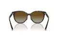 Tiffany Lunettes de Soleil TF 4209D 8015T5