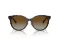 Tiffany Lunettes de Soleil TF 4209D 8015T5