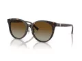 Tiffany Lunettes de Soleil TF 4209D 8015T5