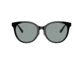 Tiffany Lunettes de Soleil TF 4209D 8055/1
