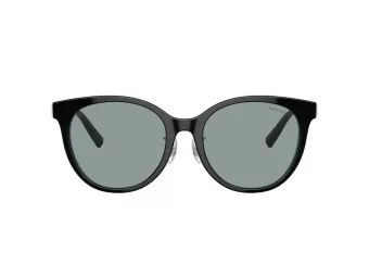 Tiffany Lunettes de Soleil TF 4209D 8055/1