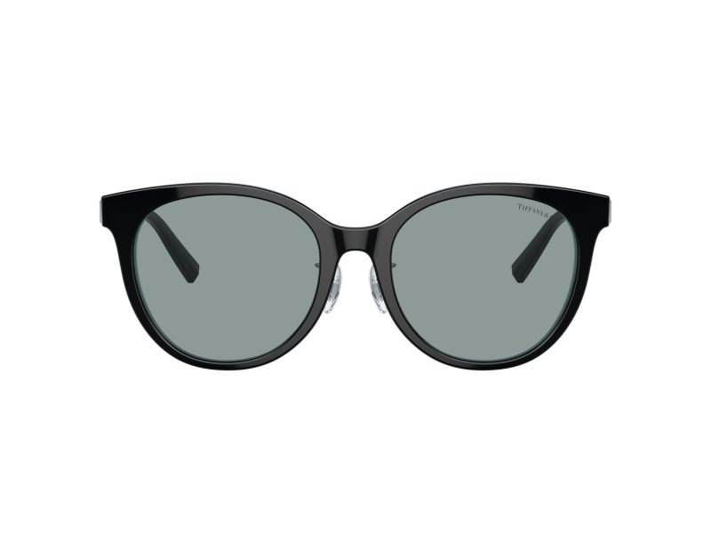 Tiffany Lunettes de Soleil TF 4209D 8055/1