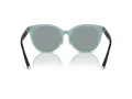 Tiffany Lunettes de Soleil TF 4209D 8055/1