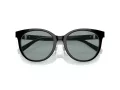 Tiffany Lunettes de Soleil TF 4209D 8055/1