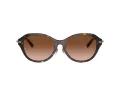 Tiffany Lunettes de Soleil TF 4210D 80153B