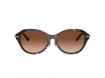 Tiffany Lunettes de Soleil TF 4210D 80153B