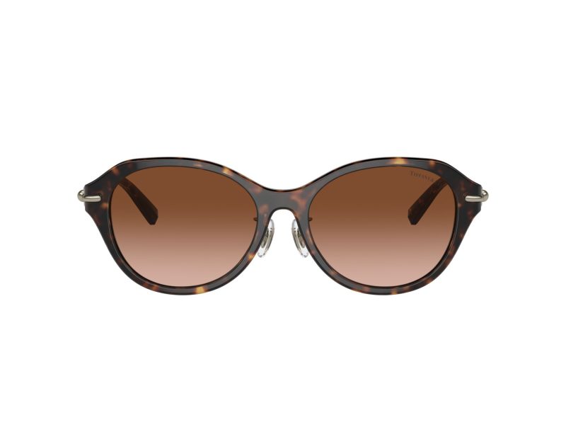 Tiffany Lunettes de Soleil TF 4210D 80153B