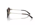 Tiffany Lunettes de Soleil TF 4210D 80153B