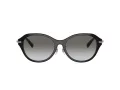 Tiffany Lunettes de Soleil TF 4210D 82853C