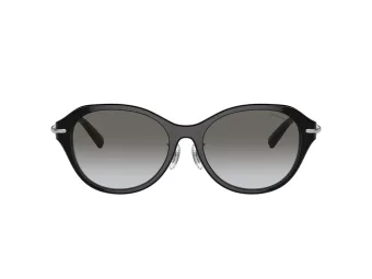 Tiffany Lunettes de Soleil TF 4210D 82853C