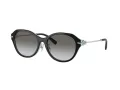 Tiffany Lunettes de Soleil TF 4210D 82853C