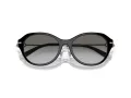 Tiffany Lunettes de Soleil TF 4210D 82853C