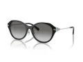 Tiffany Lunettes de Soleil TF 4210D 82853C