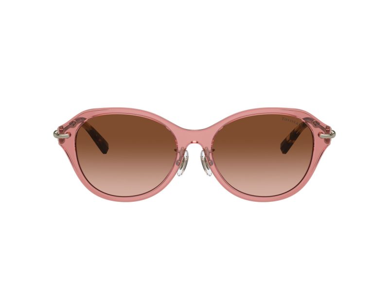 Tiffany Lunettes de Soleil TF 4210D 83863B