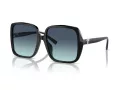 Tiffany Lunettes de Soleil TF 4211D 83429S