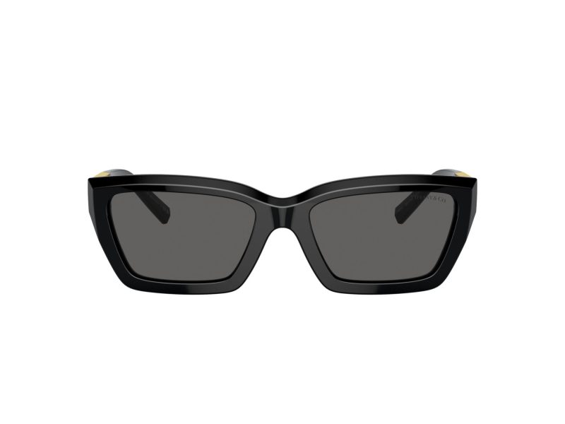 Tiffany Lunettes de Soleil TF 4213 8001S4