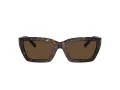 Tiffany Lunettes de Soleil TF 4213 80153G