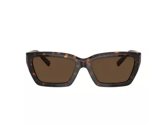 Tiffany Lunettes de Soleil TF 4213 80153G