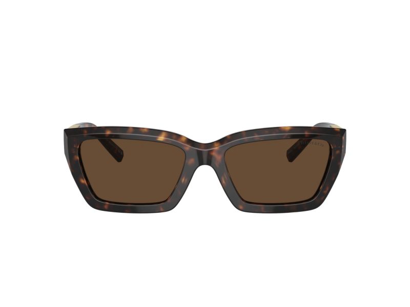 Tiffany Lunettes de Soleil TF 4213 80153G