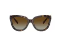 Tiffany Lunettes de Soleil TF 4215 8015T5