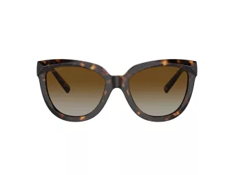 Tiffany Lunettes de Soleil TF 4215 8015T5