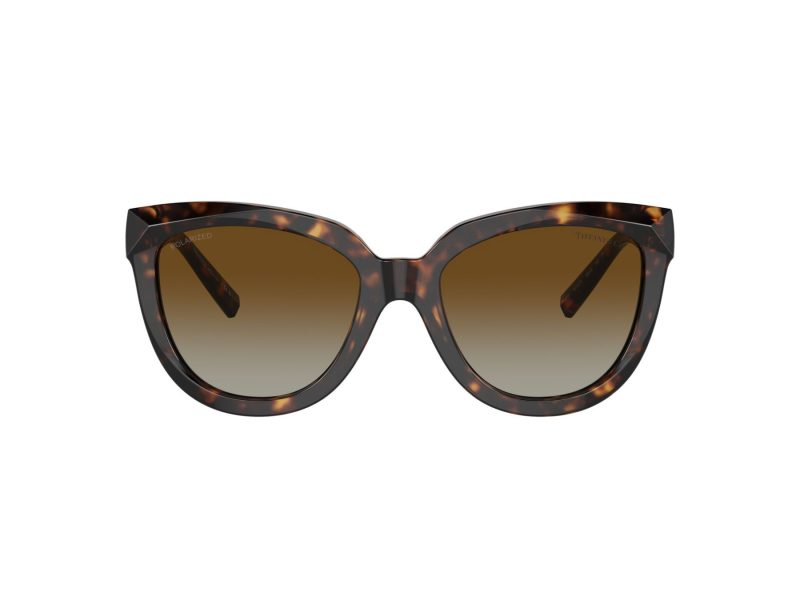 Tiffany Lunettes de Soleil TF 4215 8015T5