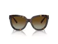 Tiffany Lunettes de Soleil TF 4215 8015T5