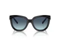 Tiffany Lunettes de Soleil TF 4215 83429S
