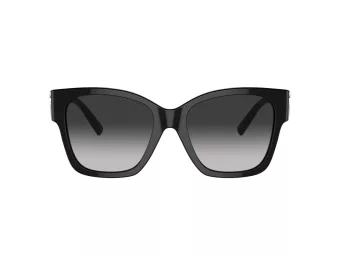 Tiffany Lunettes de Soleil TF 4216 80013C