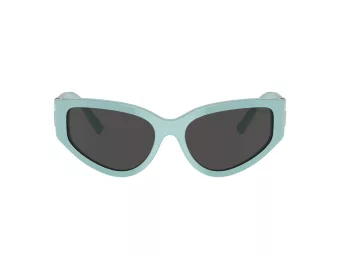 Tiffany Lunettes de Soleil TF 4217 838887