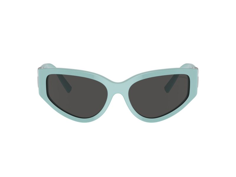 Tiffany Lunettes de Soleil TF 4217 838887