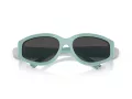 Tiffany Lunettes de Soleil TF 4217 838887