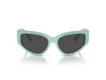 Tiffany Lunettes de Soleil TF 4217 838887