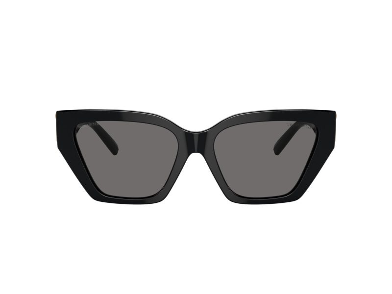 Tiffany Lunettes de Soleil TF 4218 800181
