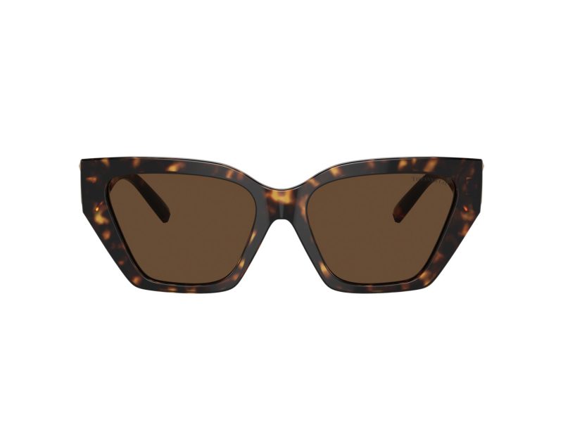 Tiffany Lunettes de Soleil TF 4218 80153G