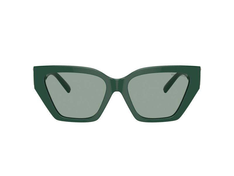 Tiffany Lunettes de Soleil TF 4218 840882