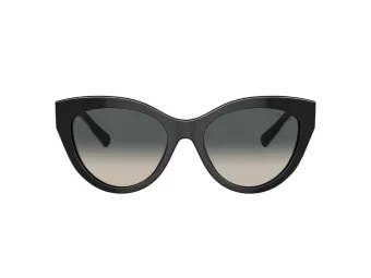 Tiffany Lunettes de Soleil TF 4220 800171