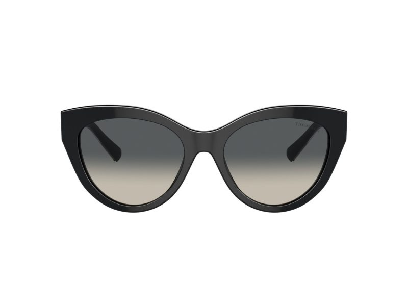 Tiffany Lunettes de Soleil TF 4220 800171